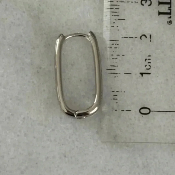 COPY - Sterling Silver Bella Oval Hoop Earrings 

Brand New - Picture 4 of 5